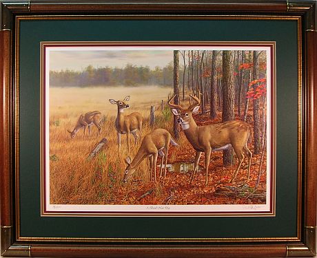 "A Brand New Day" - Whitetail Deer print by wildlife artist Randy McGovern