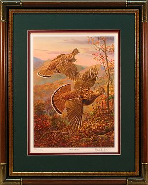 "Brown Bombers" - Ruffed Grouse Prints by wildlife artist Randy McGovern