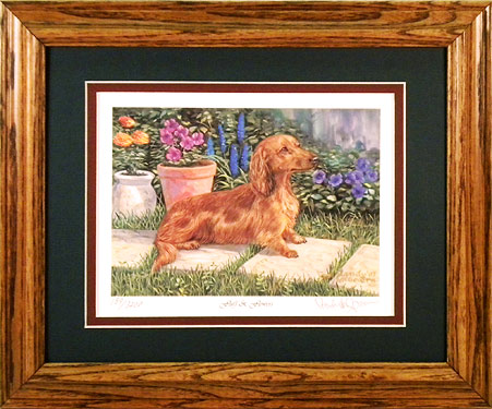 "Fluff & Flowers" - Red Longhaired Dachshund by Artist Randy McGovern