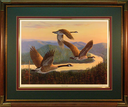 "High & Mighty" - Canadian Geese Print by wildlife artist Randy McGovern
