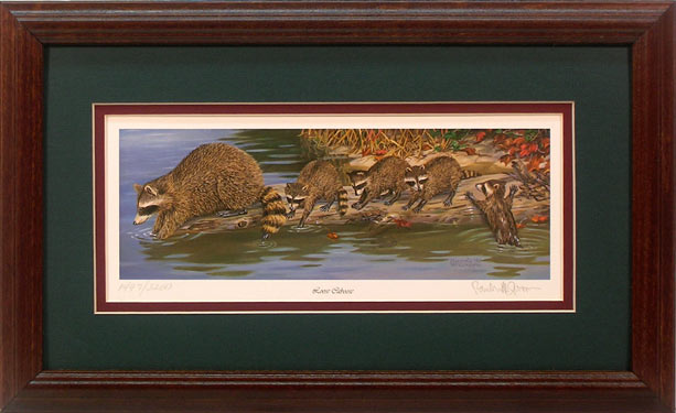 "Loose Caboose" - Raccoon print by wildlife artist Randy McGovern