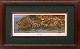 "Loose Caboose" - Raccoons by wildlife artist Randy McGovern