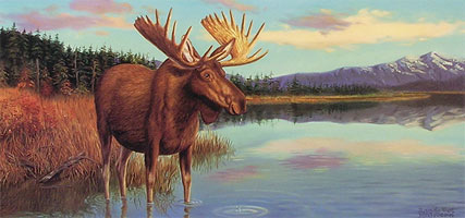 "Moosetique" - Moose by wildlife artist Randy McGovern