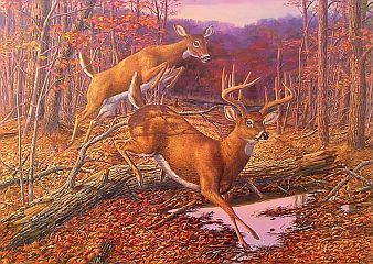 deer artists
