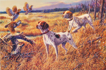 ""Uncoveyed" - English Pointers by artist Randy McGovern